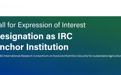 Call for Expression of Interest: Designation as IRC Anchor Institution