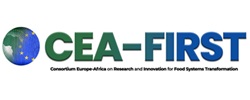 CEA-FIRST